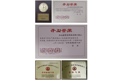 1996年11月，山推产品被中国质协、建设机械设备委员会评为“用户满意”产品。1987年至今，山推已经连续八次获此殊荣。